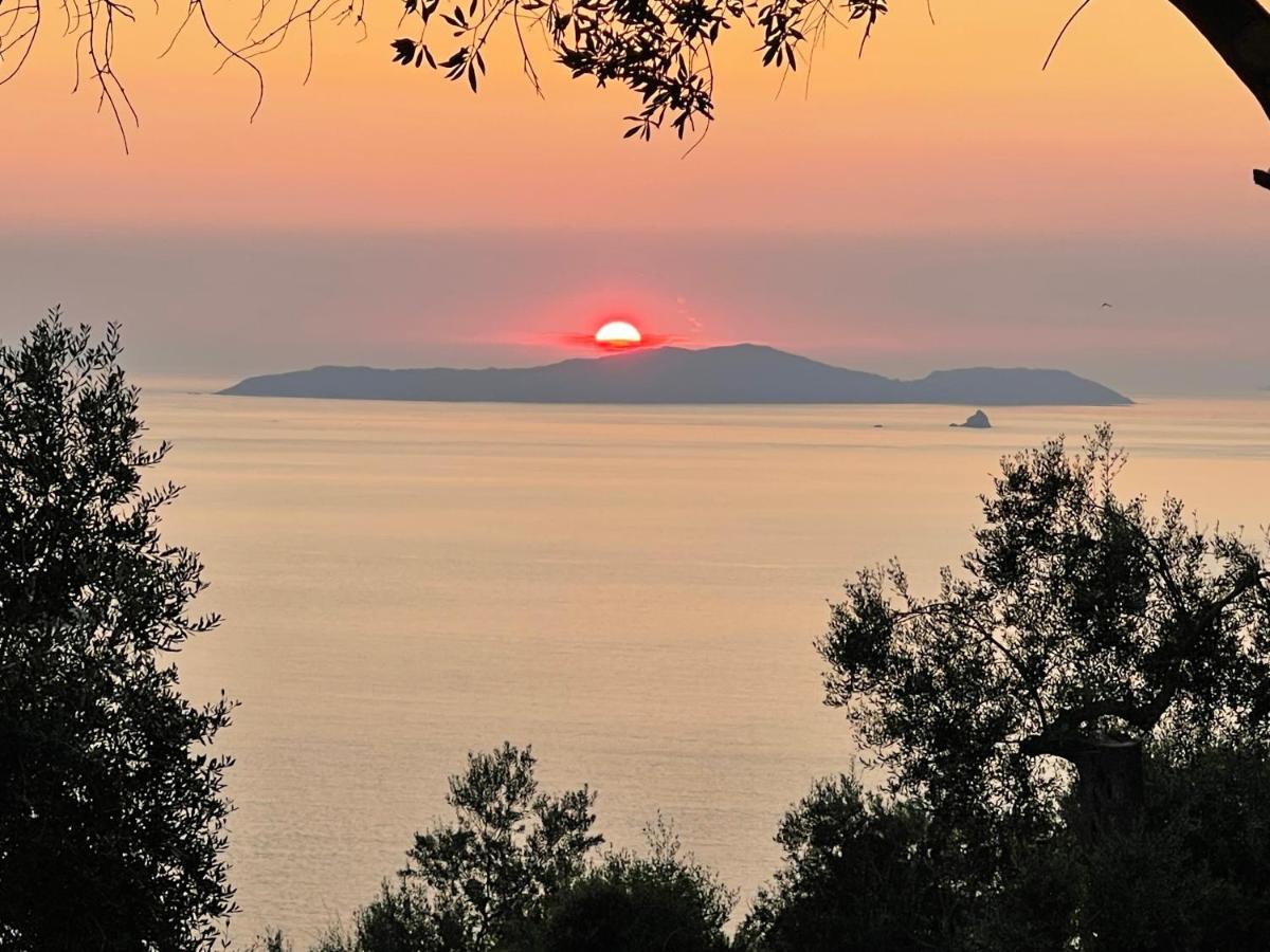 Arillas Hillside Villa 3 - Provence Exteriér fotografie